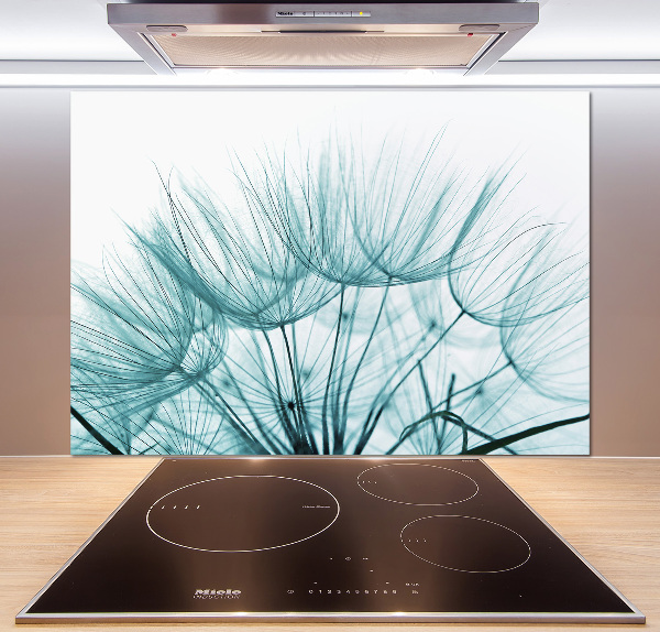 Cooker splashback Dandelion seeds