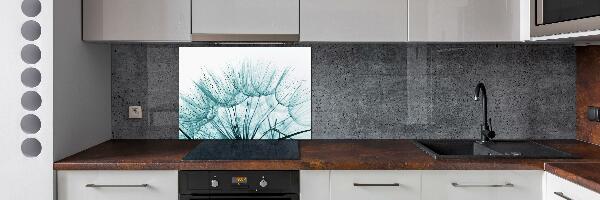 Cooker splashback Dandelion seeds