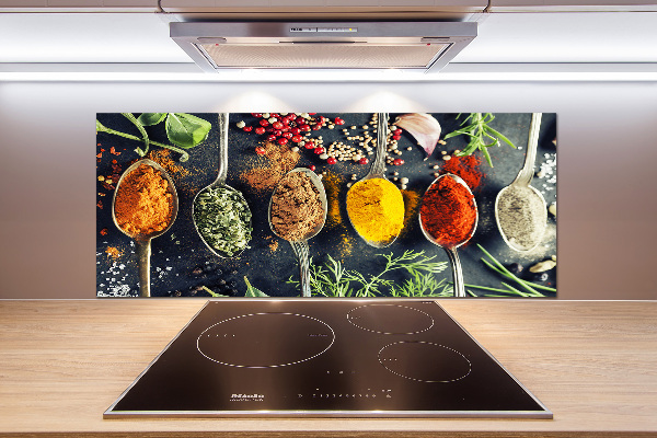 Kitchen splashback Colorful spices