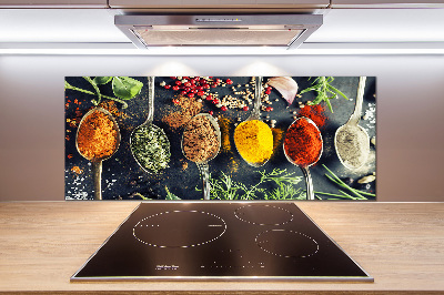 Kitchen splashback Colorful spices