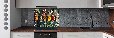 Kitchen splashback Colorful spices