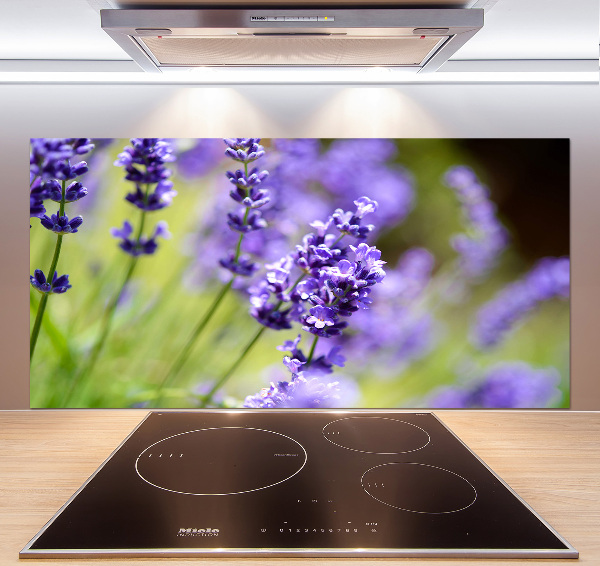 Cooker splashback Lavender