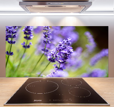 Cooker splashback Lavender