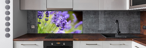 Cooker splashback Lavender