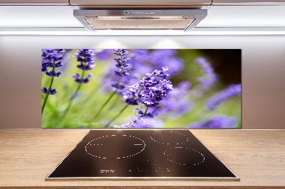 Cooker splashback Lavender