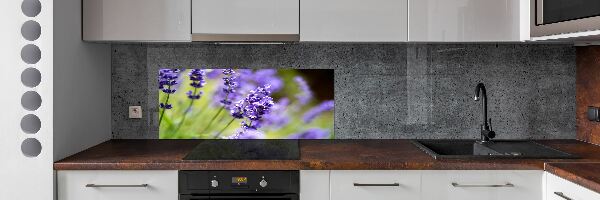 Cooker splashback Lavender