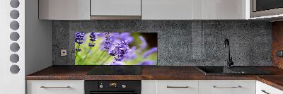 Cooker splashback Lavender