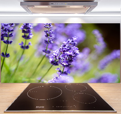 Cooker splashback Lavender