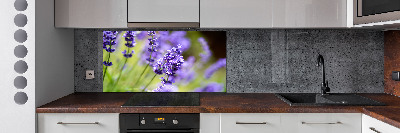 Cooker splashback Lavender