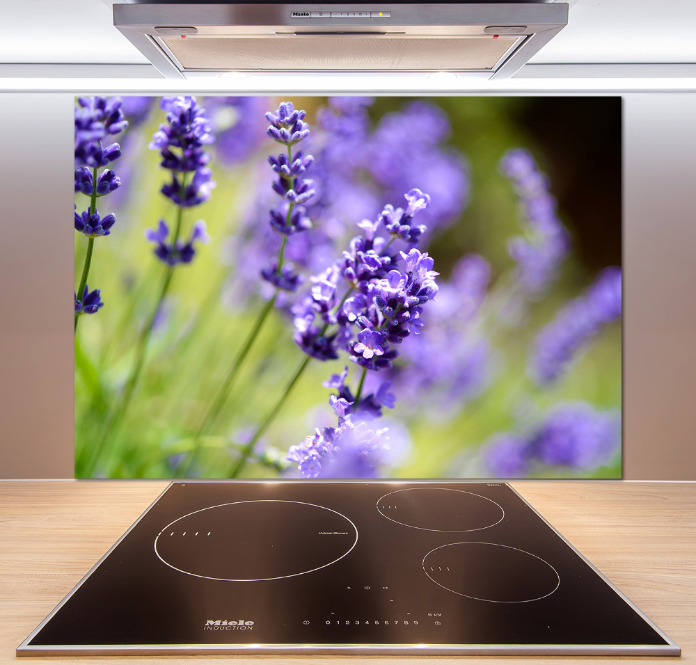 Cooker splashback Lavender