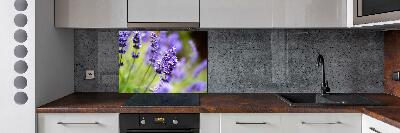 Cooker splashback Lavender