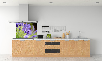 Cooker splashback Lavender