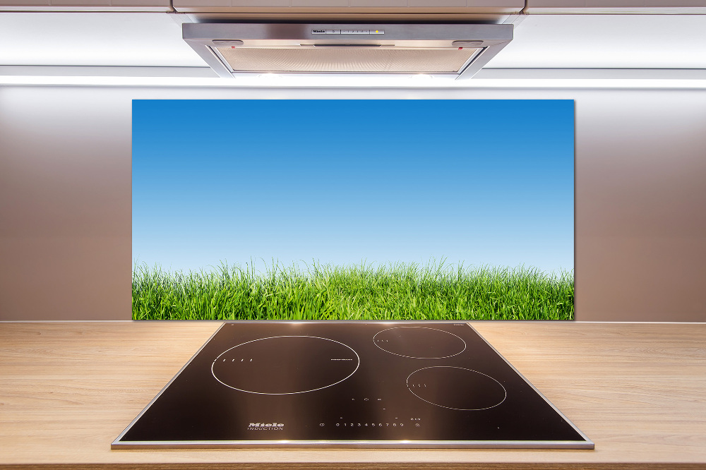 Cooker splashback Grass