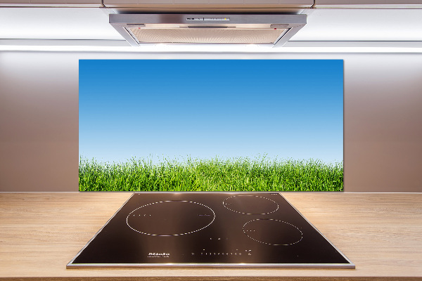 Cooker splashback Grass