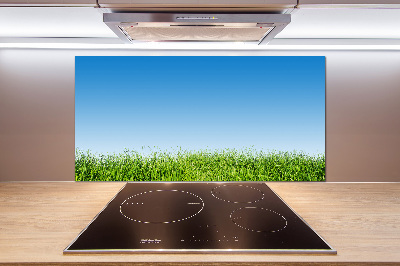 Cooker splashback Grass