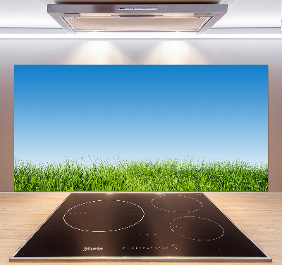 Cooker splashback Grass