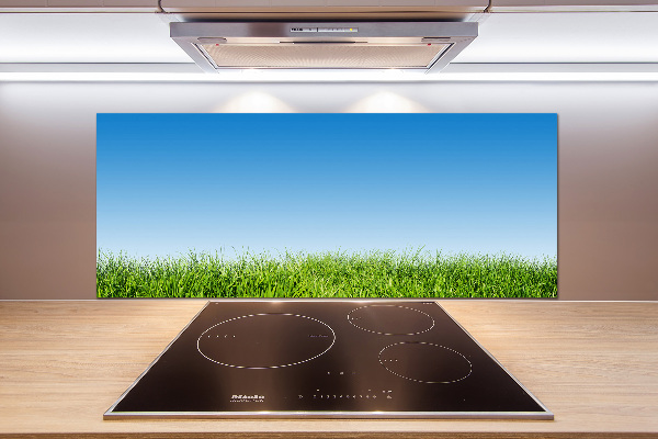 Cooker splashback Grass