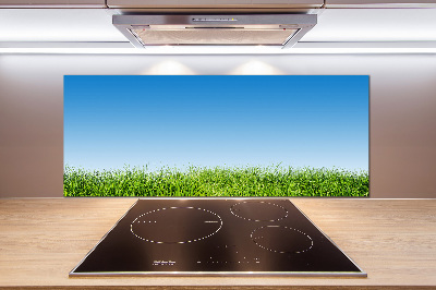 Cooker splashback Grass