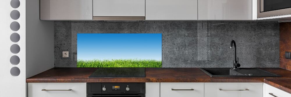 Cooker splashback Grass