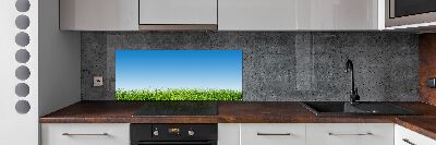 Cooker splashback Grass