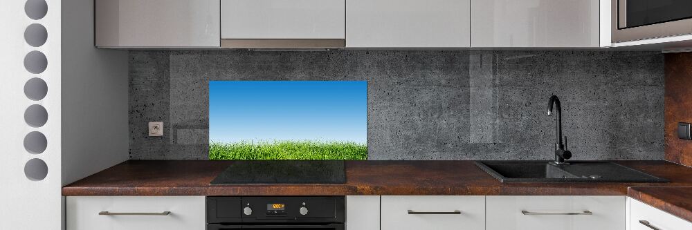 Cooker splashback Grass