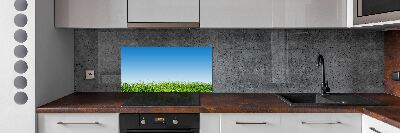 Cooker splashback Grass