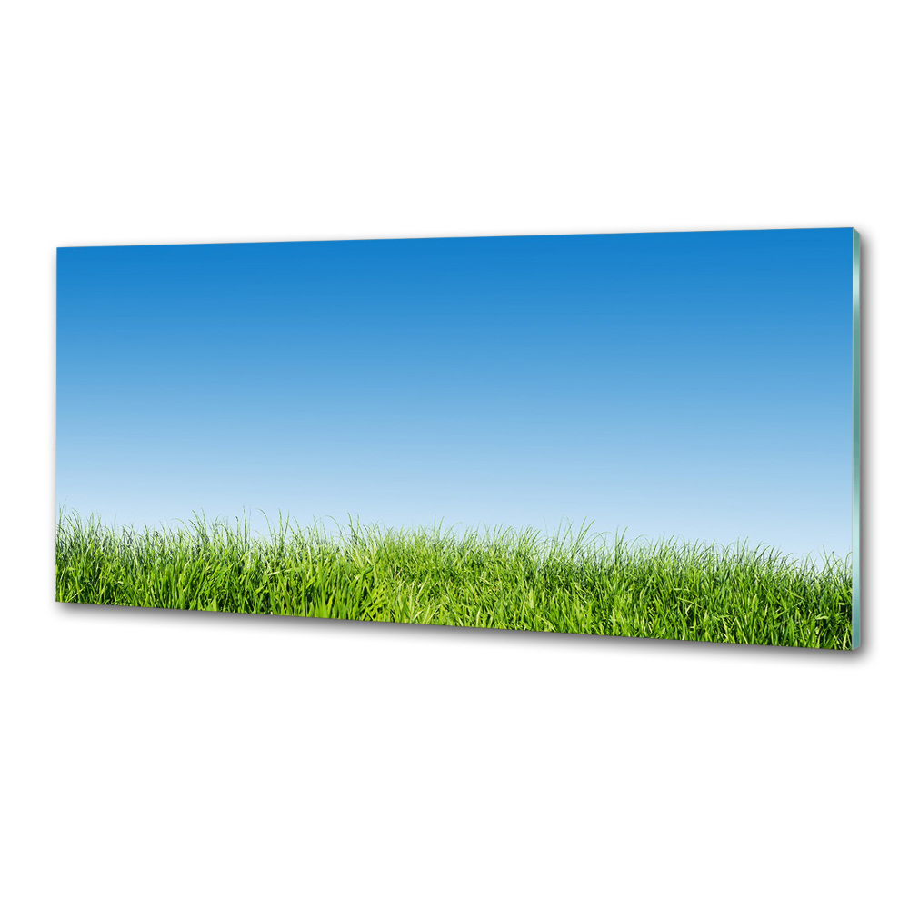 Cooker splashback Grass