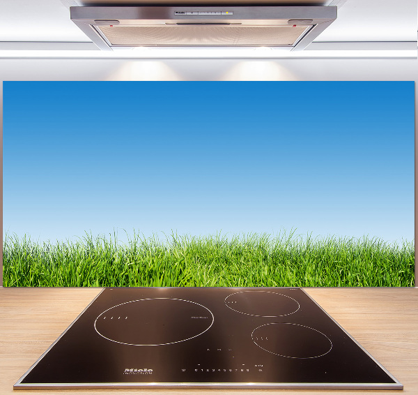 Cooker splashback Grass