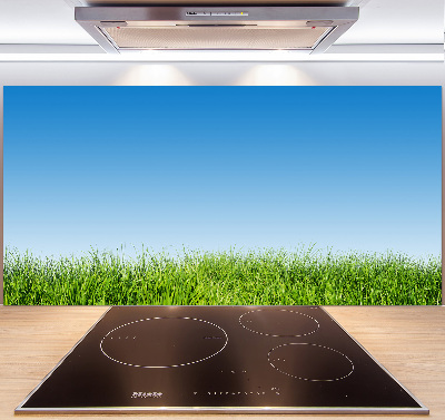 Cooker splashback Grass