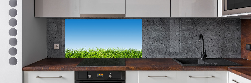 Cooker splashback Grass