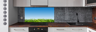 Cooker splashback Grass