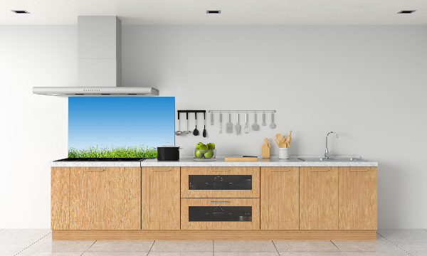 Cooker splashback Grass