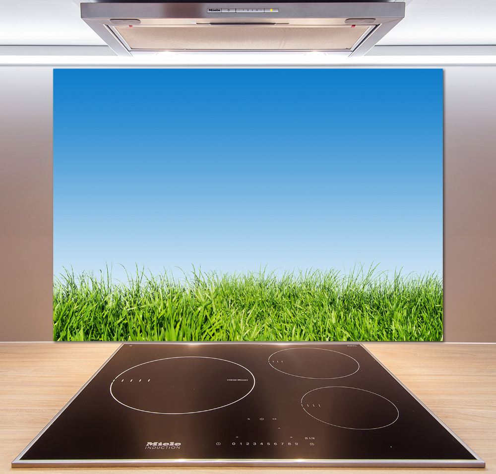 Cooker splashback Grass