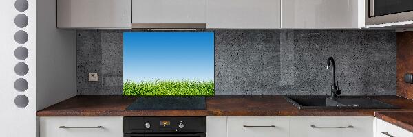 Cooker splashback Grass