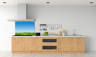 Cooker splashback Grass