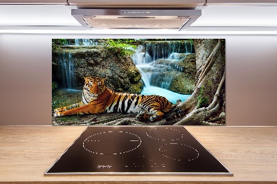 Cooker splashback Waterfall tiger