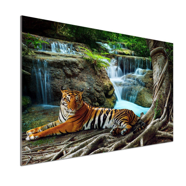 Cooker splashback Waterfall tiger