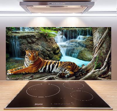 Cooker splashback Waterfall tiger