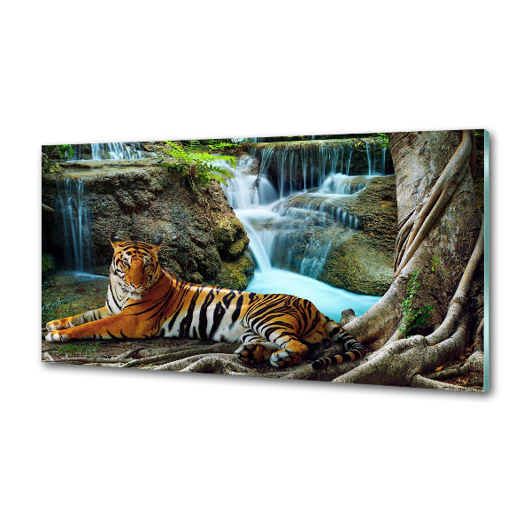 Cooker splashback Waterfall tiger