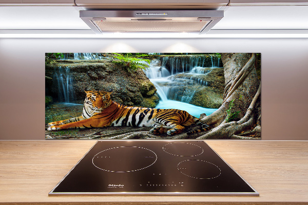 Cooker splashback Waterfall tiger