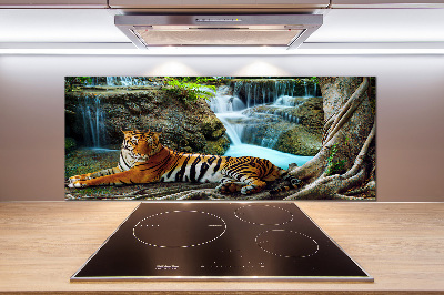 Cooker splashback Waterfall tiger