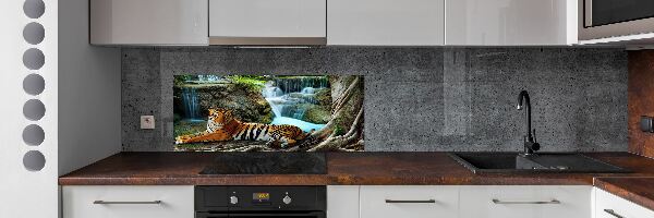 Cooker splashback Waterfall tiger