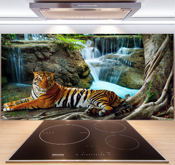 Cooker splashback Waterfall tiger