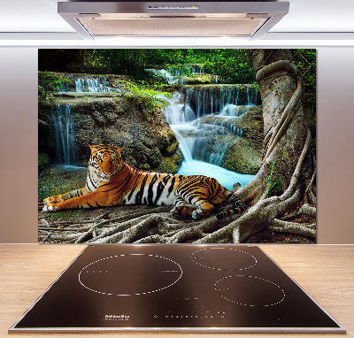 Cooker splashback Waterfall tiger