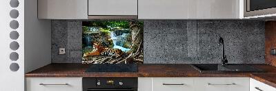 Cooker splashback Waterfall tiger