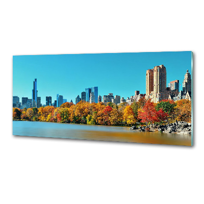 Glass splashback New York in autumn