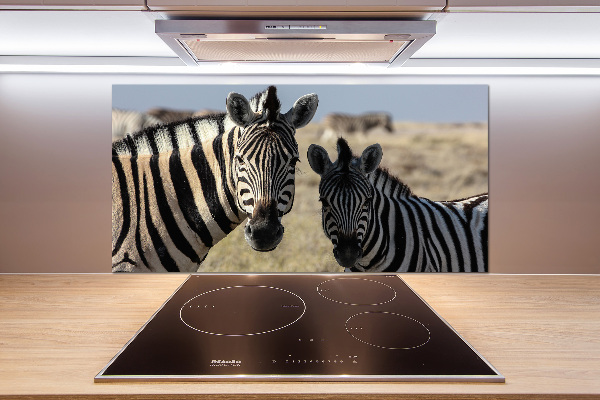 Cooker splashback Two zebras