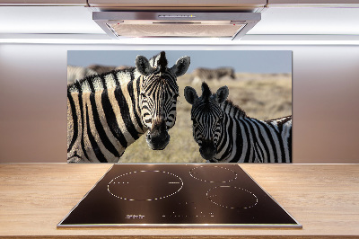 Cooker splashback Two zebras