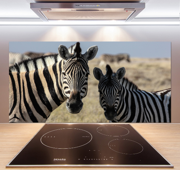 Cooker splashback Two zebras