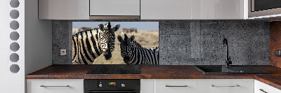 Cooker splashback Two zebras